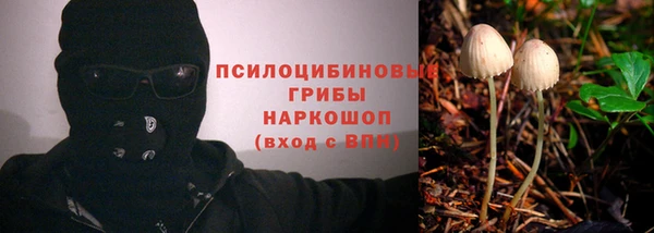 apvp Верхний Тагил