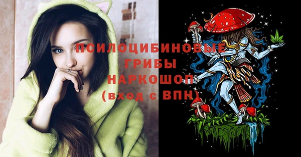 гашик Бронницы