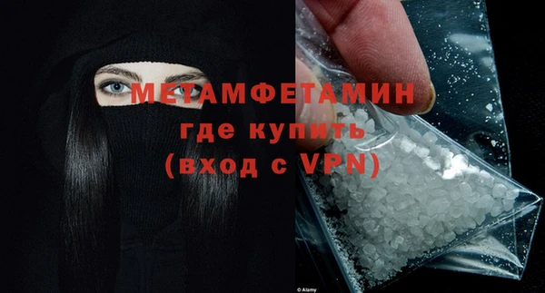 прущие грибы Богданович