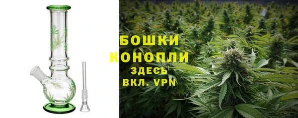 прущие грибы Богданович